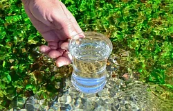 Pestycydy w wodzie pitnej: cicha zagrożenie